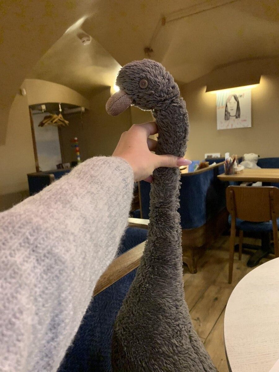 Эта птица как продажа товара в рунете, такая же стремная)