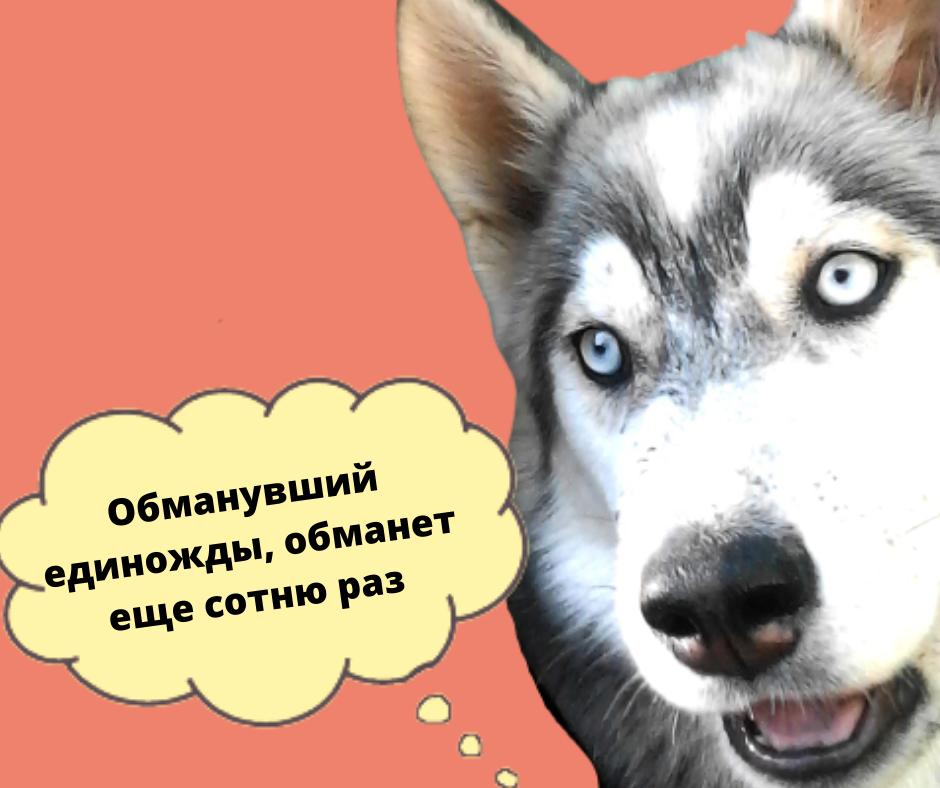 Обучение командам и поведению: