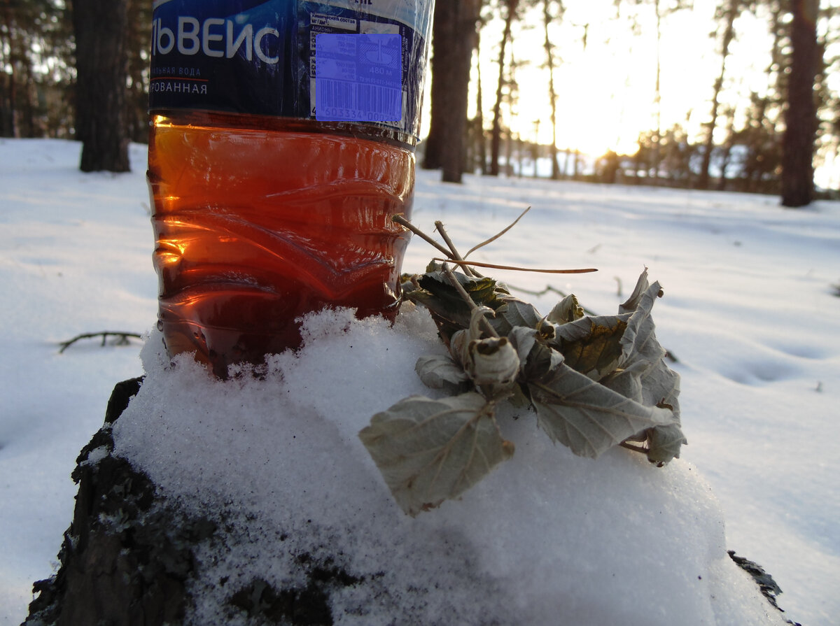 Чай из листьев малины, согревающий кровь