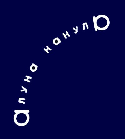 Палиндром А. Вознесенского.