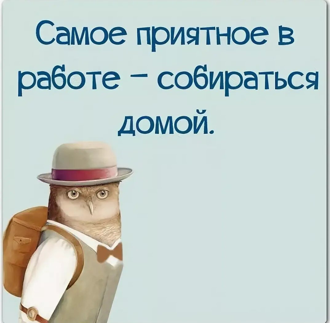 Картинки про работу. Афоризмы про работу. Приколы про работу. Смешные фразы про работу. Прикольные высказывания про работу.