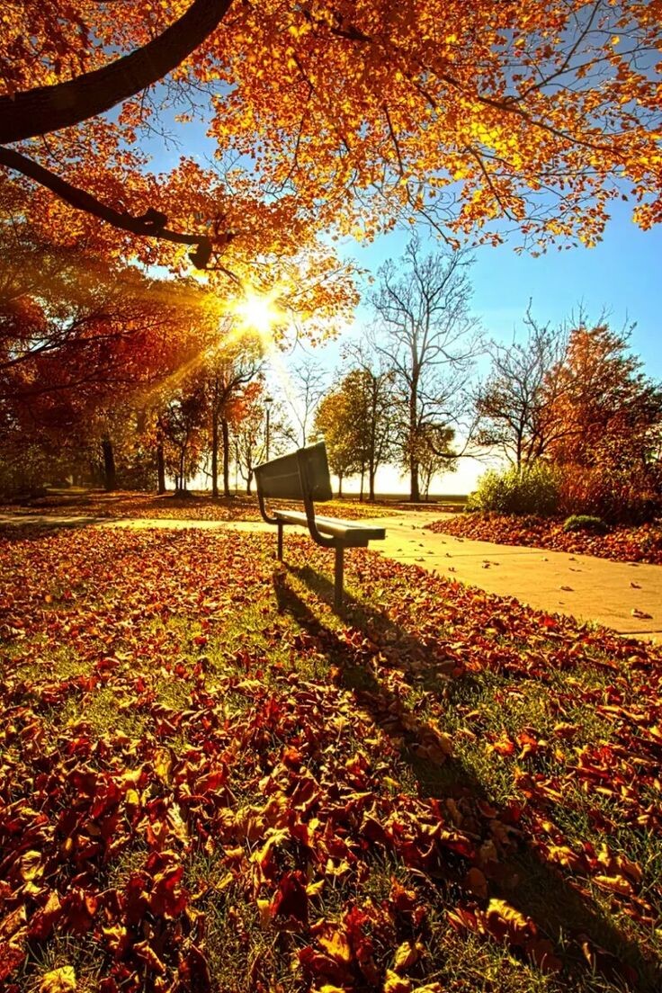 Картинка взята из открытых источников