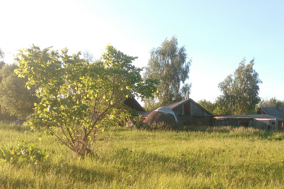 из личного архива