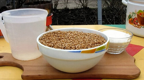 Брага из пшеницы — популярные рецепты, тонкости приготовления