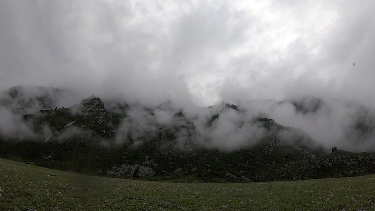 Утренняя прогулка в пасмурную погоду 