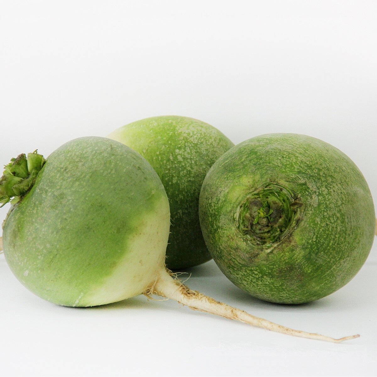 Зеленая редька 