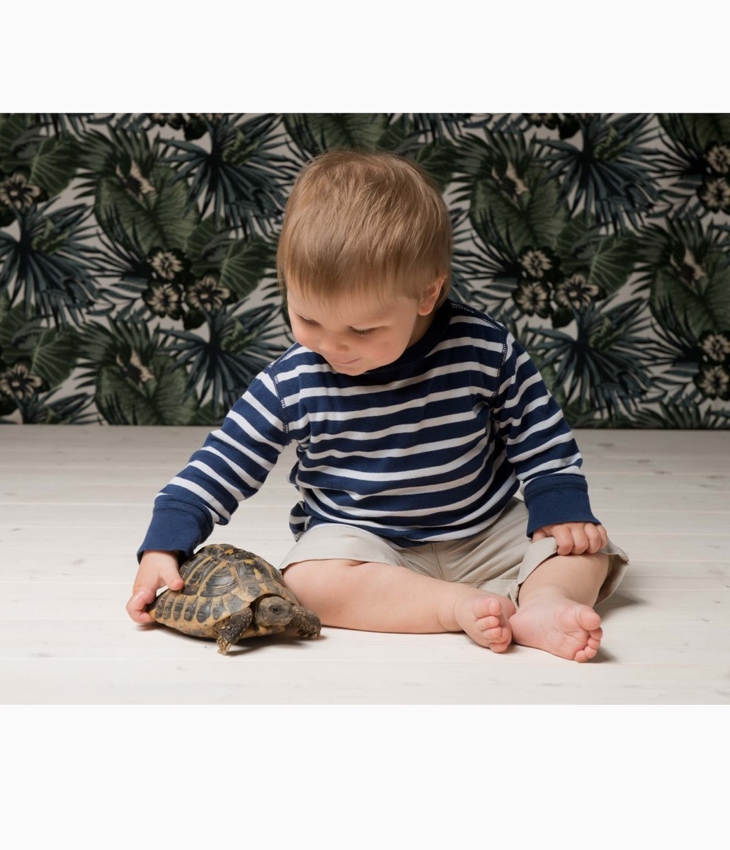 Макс и Микеланджело