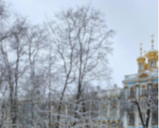 Екатерининский дворец (строительство 1743-1756)