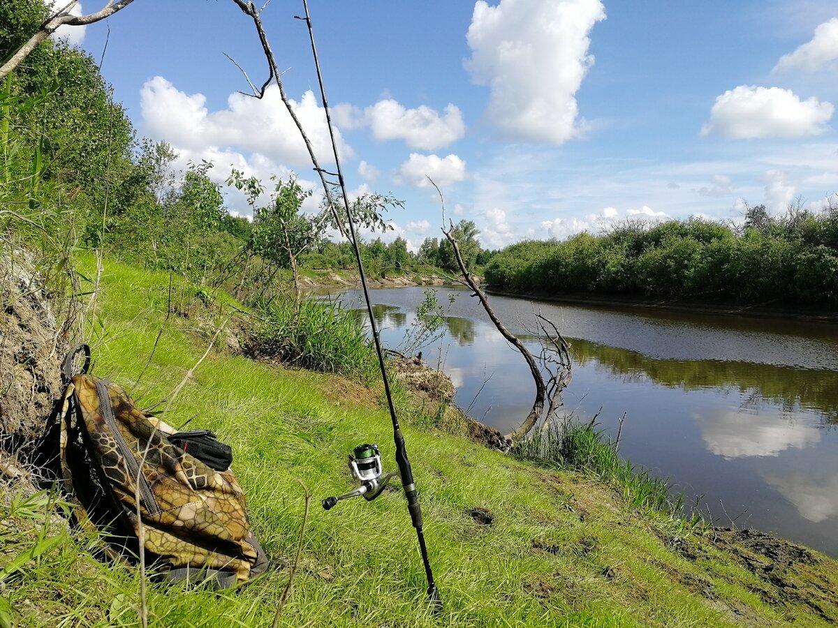 Зубцов рыбалка