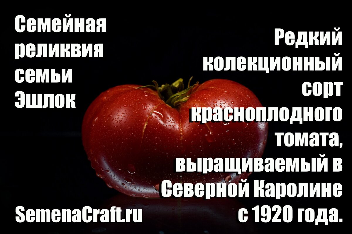 SemenaCraft.ru