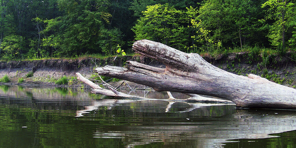 Фото Романа Шкловского