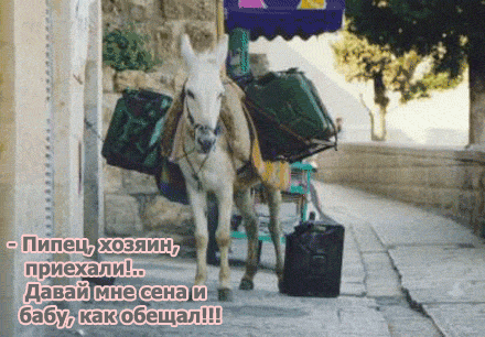 Честно заработал