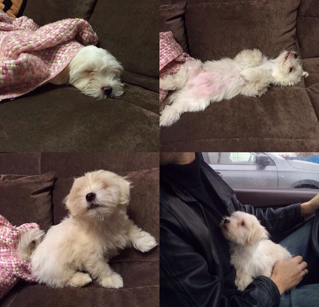 Первый день, дорога домой