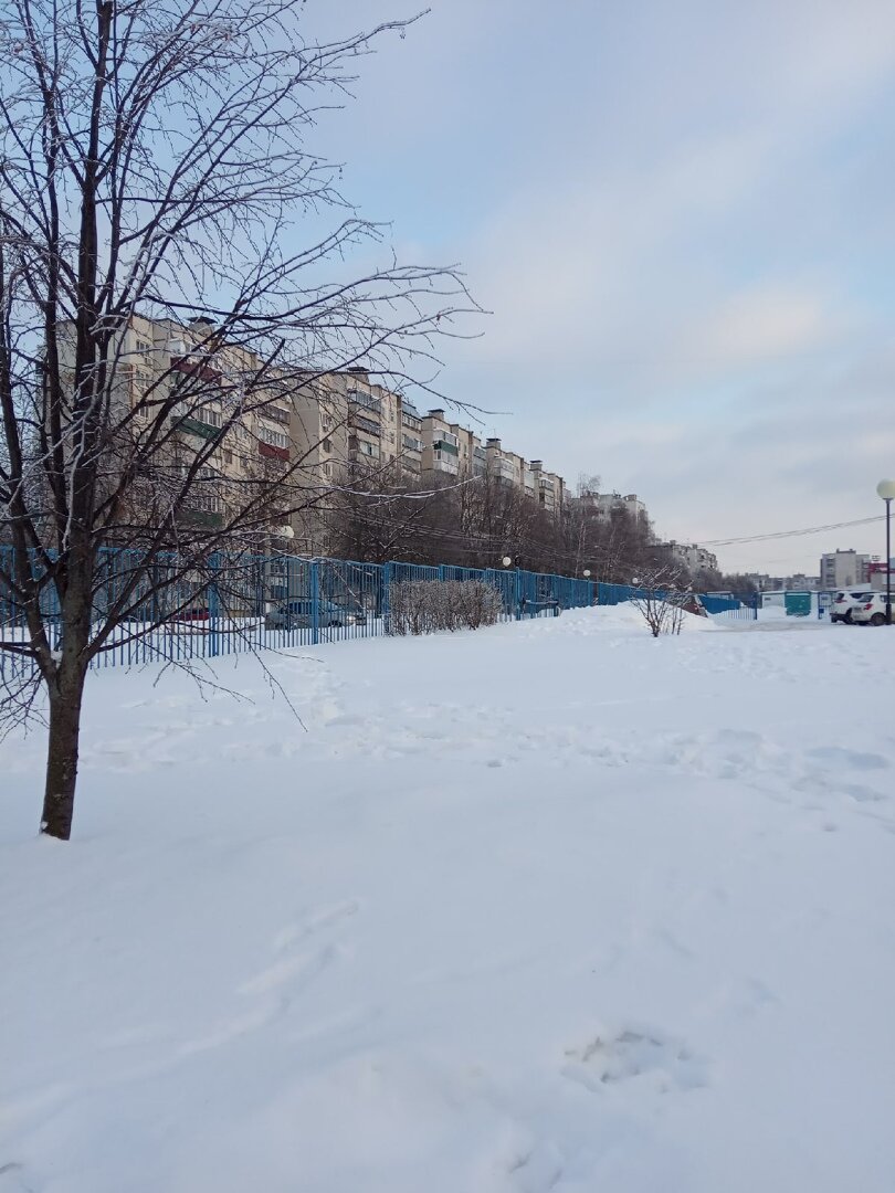 Одна из фотографий, сделанных в первый день