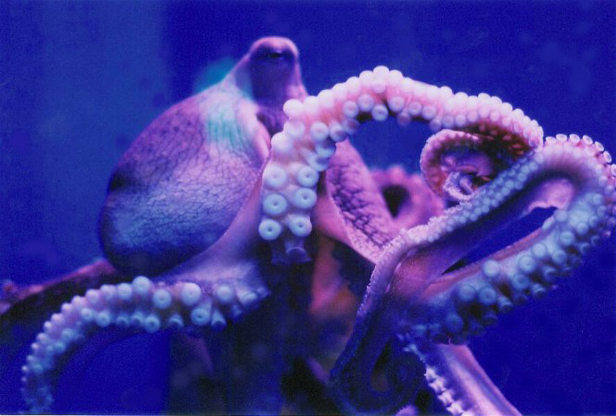 Источник: morguefile.com