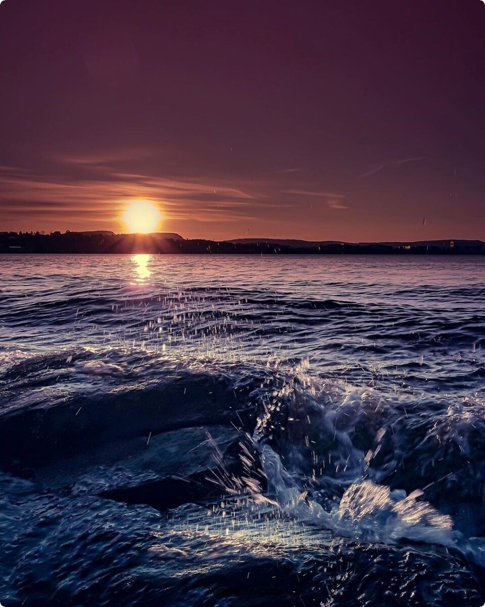 (фото в свободном доступе в интернете) 