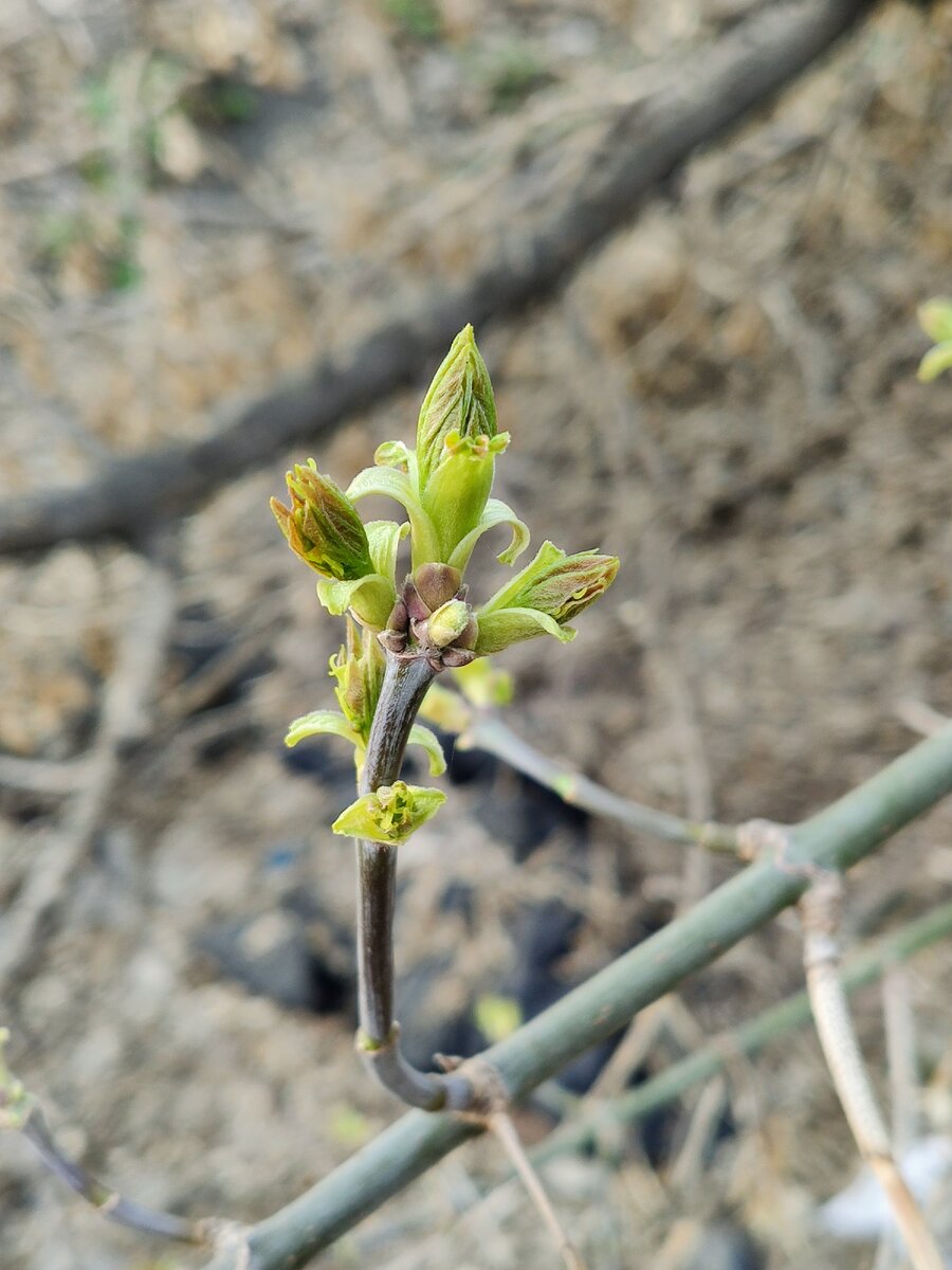У нас весна