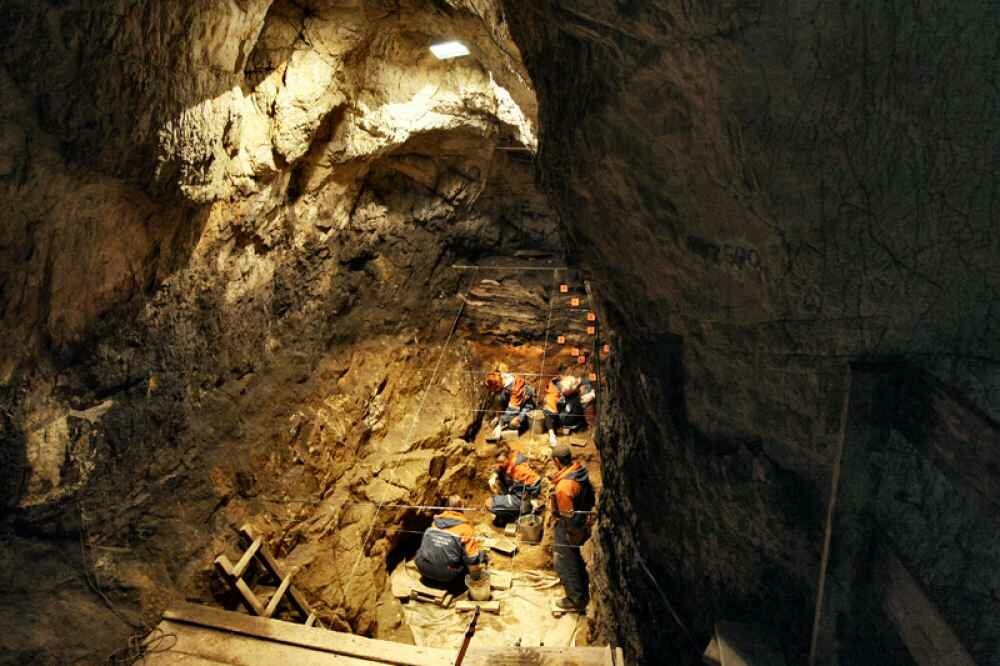 Из открытых источников.