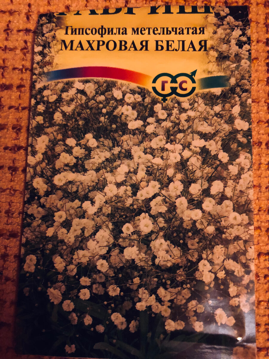 Вот такие семена я купила. 