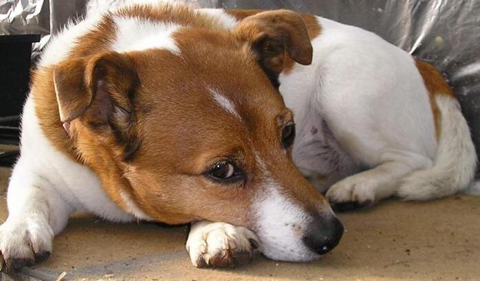 Фото с liveinternet.ru для примера