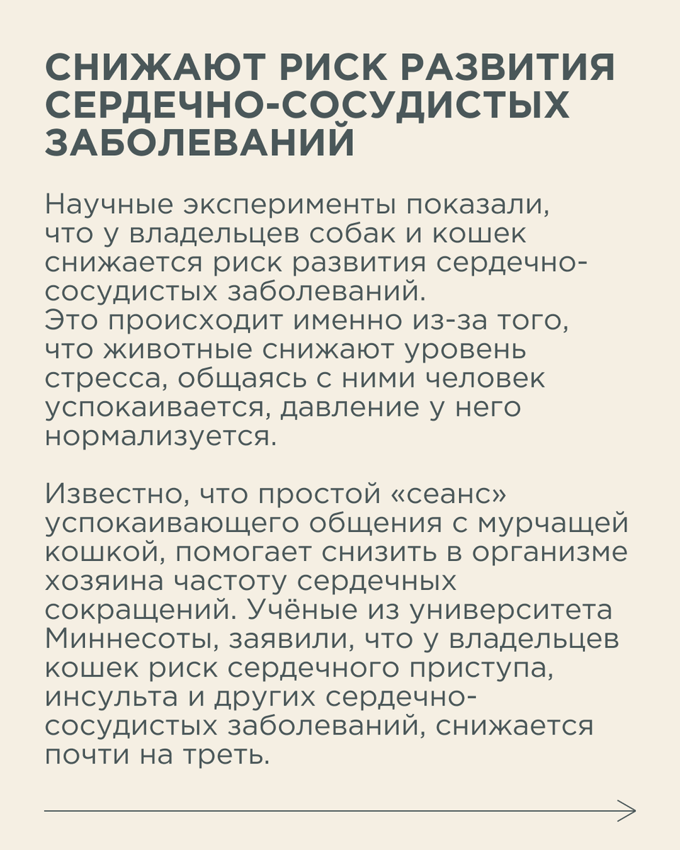 Иногда нам бывает очень трудно справиться с негативными мыслями и стрессом.  Как животные отвлекают нас от плохих мыслей | Новый очаг | Дзен