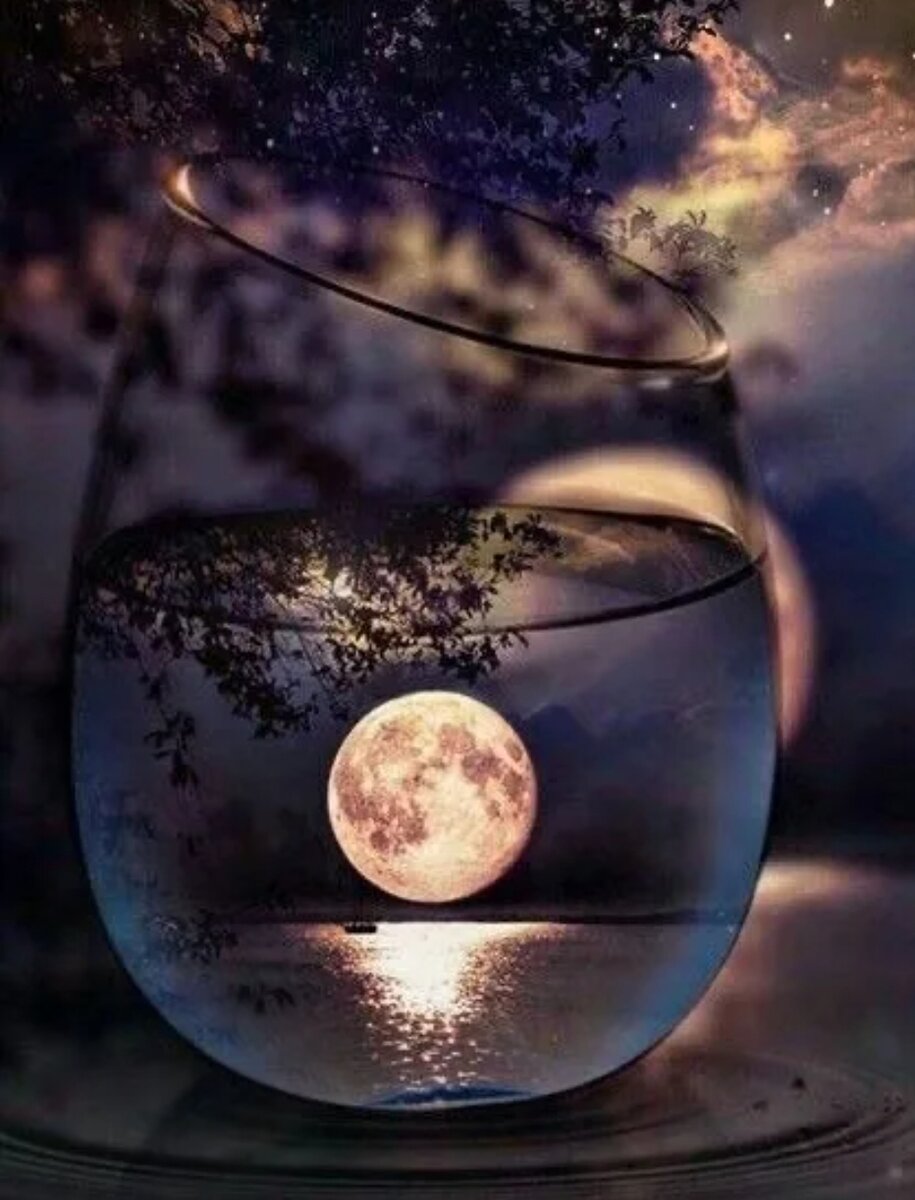 из открытых источников интернета. 