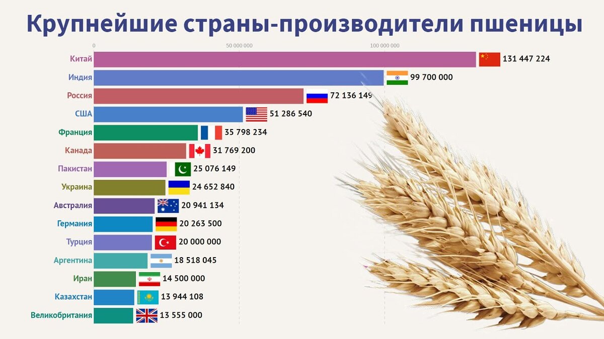 Культура га. Производители зерна в мире самые крупные. Производство зерна в мире по странам. Страны производители пшеницы 2021. Крупные производители и экспортеры пшеницы в мире