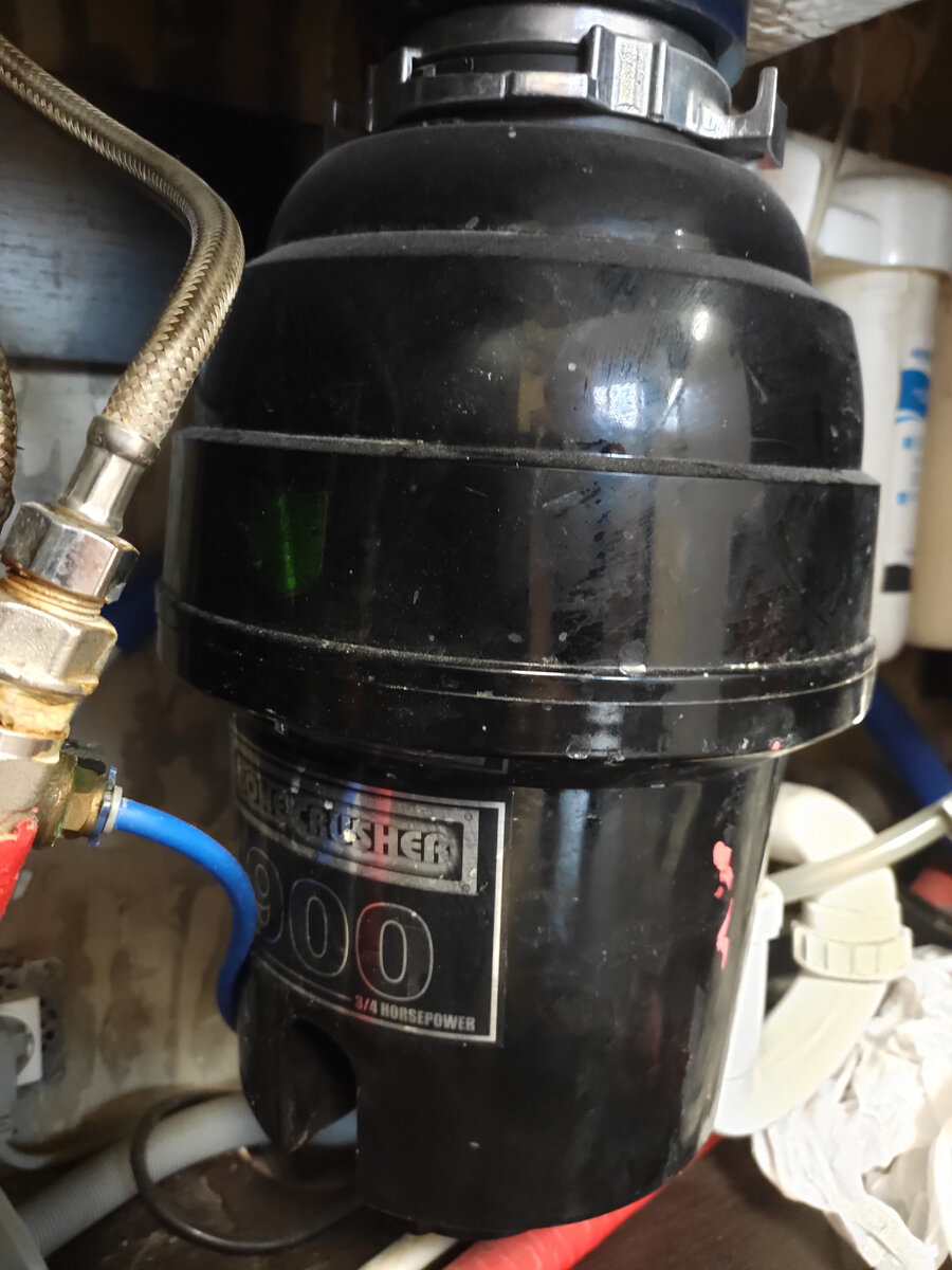 Это наш красавец. 