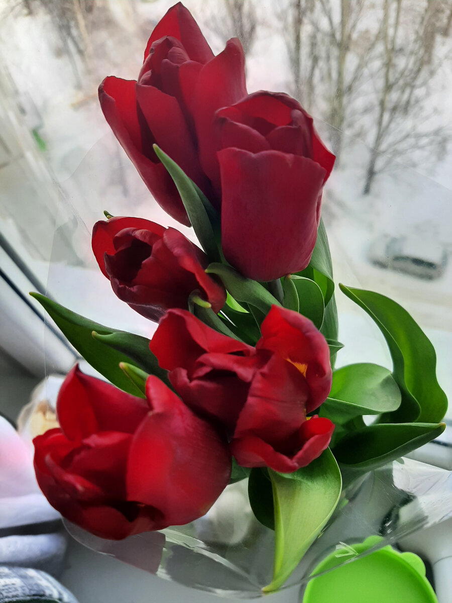 Захотелось "выложить" цветочки - весна всё-таки