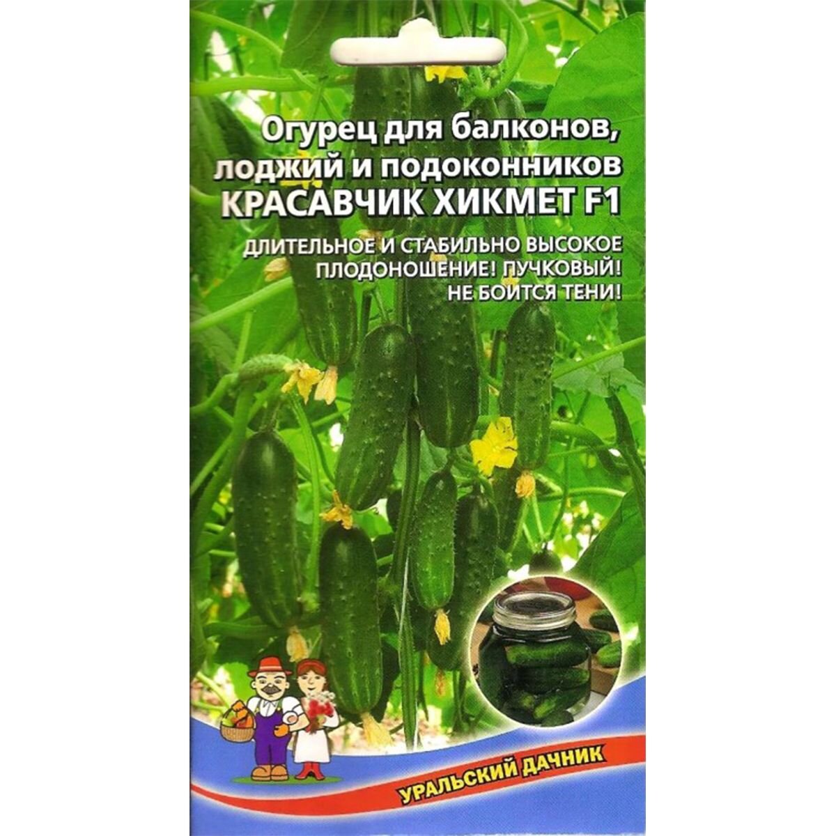 Балконный красавчик хикмет f1. Огурец красавчик Хикмет f1. Огурец красавчик Хикмет балконный. Огурец красавчик Хикмет f1 описание. Огурец красавчик Хикмет Уральский Дачник.