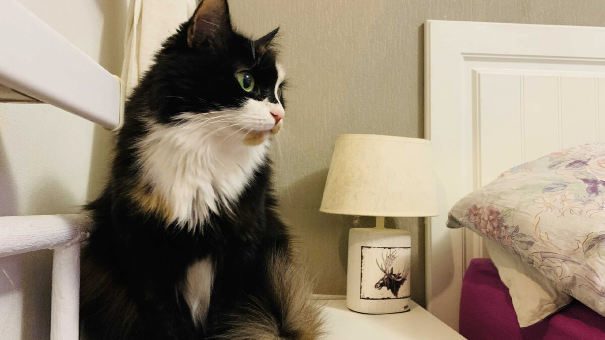 Людмила Руслановна, 8 лет