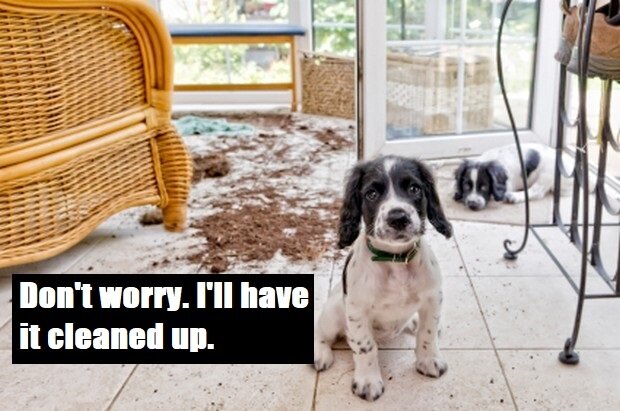 Не волнуйся, я тут всё уберу (попрошу кого-нибудь).