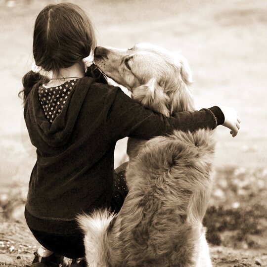 Все изображения в статье - интернет.