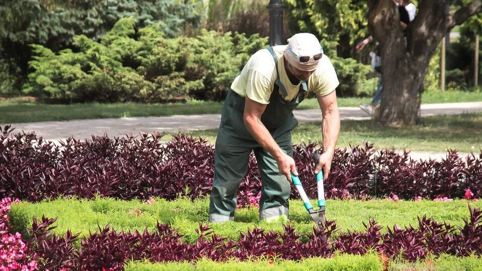 Оплачиваются фактически отработанные часы по двойным ставкам. Фото: pixabay.com