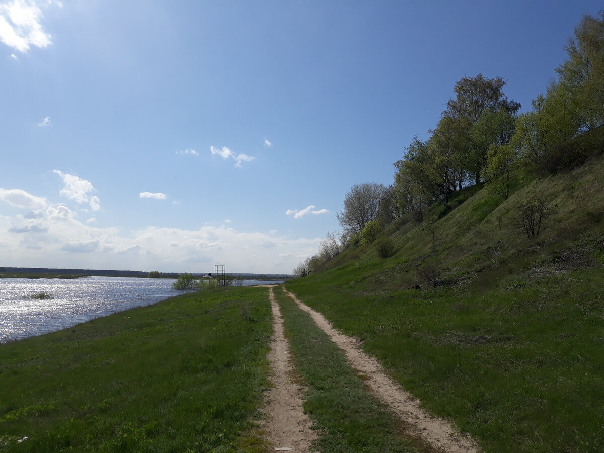 Вчера ходили в другой лесочек