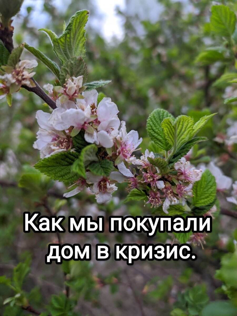 📃История одной сделки с несовершеннолетним собственником, долями,  ипотекой и кризисом.   🙏Друзья, если вам интересна и полезна моя история, буду благодарна обратной связи и  комментариям.
 👪Собственно эта история совсем свежая. Началась она в середине февраля 2022 года, когда ко мне обратилась семья, которой надо было до мая продать квартиру и купить дом.
 С продажей проблем не было, а вот покупать было достаточно сложно. 
1. Одним из собственников квартиры был несовершеннолетний, соответственно, нужно одобрение опеки.

2. Нужен был дом в городе Н. Новгороде, но с продажи квартиры денег не хватало на дом мечты, поэтому решено было одобрить ипотеку в банках , которые одобряют дома.

3. Найти дом, который по всем параметрам понравится и покупателям и банку и органам опеки и получить ключи до мая.

 Итак, 21 февраля пришло одобрение на ипотеку по двум банкам. Мы уже заранее активно начали выбирать предложения, которых на тот момент было много.

  Отсеяли варианты, которые не подходят под ипотеку и нет документов, кто не может найти альтернат.

 ⚡ И тут случилось 24 февраля. Как развивались события все прекрасно знают. Но на рынке недвижимости были свои нюансы. 

   🤦Пока я просеивала продаваемые дома (а ещё мы рассматривали 1/2 дома), ЦБ поднял 28 февраля ключевую ставку до 20%,  банки перестали работать, Сбербанк, где мы были одобрены всех планомерно отклонял.  Курс доллара взлетел.

     🤷Многие продавцы недвижимости обратились в панику. Не раз звонила по объектам, где собственники говорили, цитирую: "Мы поднимаем цену, но не знаем на сколько, мы уже снимаем с продажи, не хотим остаться с фантиками". Буквально перед 8 марта у нас отменилось несколько показов.

 🤦 С каждым днём уровень неопределенности только усиливался. Пережидать и ждать было непонятно сколько и чего. А времени у нас не много, учитывая сложность сделки. Уровень стресса зашкаливал, но надо было принимать решения и делать следующие шаги.

    📝Мы с клиентами разработали 3 плана действий, исходя из вариантов дальнейшего развития событий. Это помогло, как морально, так и стратегически.
  
      ⏳Наконец появилась информация, что Сбербанк решил выпустить на сделку одобренных клиентов  до конца марта по одобренным % ставкам. 

 🤷 Но нечего брать уже. Всё, что нам могло подойти, было снято с продажи. 

  😭В последнюю неделю марта появляется в продаже дом, который мы хотели посмотреть месяц назад, но он был под авансом. А теперь появился в продаже на 1млн. дороже. Оказывается, продавцы этого дома перед сделкой подняли цену на миллион, хотя их покупатели делали технические документы на дом для банка . В итоге денег у покупателей не хватило и  сделка развалилась. 
    ⏳Но прикинув все сроки, мы поняли, что уже не успеваем выйти на сделку в ипотеку.
  💼 В начале апреля подали заявки в банки.
   ❗Сбербанк отказал с совершенно неблаговидным предлогом, а ВТБ одобрил под 19,5%. 
   ⁉️Соответственно, сумма, которую одобрил ВТБ слишком мала , чтобы купить дом, который одобрил бы этот банк. А  ежемесячный платеж очень большой.
🚶 Продолжаем поиски, рассматривая и квартиры на крайний случай.
 🏠И вот, уже в начале апреля появляется в продаже дом, который тоже ранее был заавансирован, но сделка сорвалась.  
  🎯Правда, это уже не целый дом, а выделенная 1/2 дома, но со всеми документами для РОНО  и по цене, которая нам подходила без ипотеки. В ипотеку дом не подходил.
 🤝 Оперативно посмотрели и решили брать.
Дальше была обычная процедура. 
 💰  Заавансировали. Собрали все документы и подали в РОНО, выбрали хорошего нотариуса, где должна была быть двойная сделка по продаже и покупке, подготовились, принесли решение РОНО, договорились о дне сделки.

  🔥Накануне сделки нотариус звонит и говорит, что формулировка РОНО не подходит, надо, чтобы переделали. Мы в РОНО. Там говорят, подавайте заново документы, будем на комиссии решать, а у нас цепочка. Все сроки горят!

 🙇 Помог мозговой штурм. Не буду загружать подробностями, это связано с долями. Решили это уравнение так, что устроило и нотариуса и 
моих клиентов и на сделку мы вышли вовремя.
     Вот такая получилась непростая сделка. 
    🗝️И 27 апреля мои клиенты получили ключи от своего  дома. 
   Я очень за них рада!👏
    🤝  Безумно стрессовые получились эти 2 с половиной месяца, но не смотря на все сложности и препятствия, мы уложились в срок и пришли к результату.
🤗  Я считаю, что всё получилось благодаря взаимному доверию,  открытости, честности и нацеленности на результат в выстроенных отношениях между мной и моими клиентами. В таком формате всё возможно!
