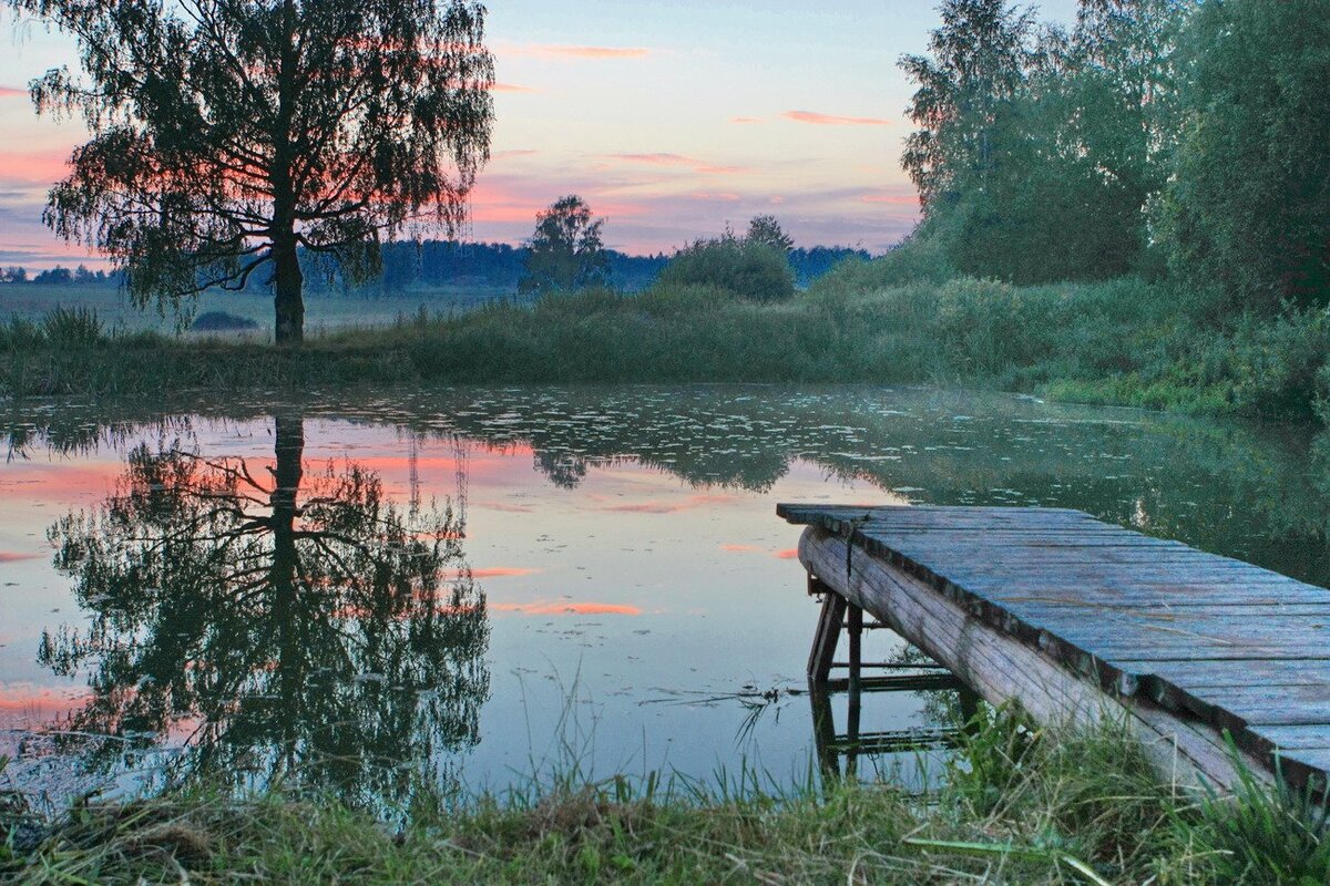 Кладки на озере