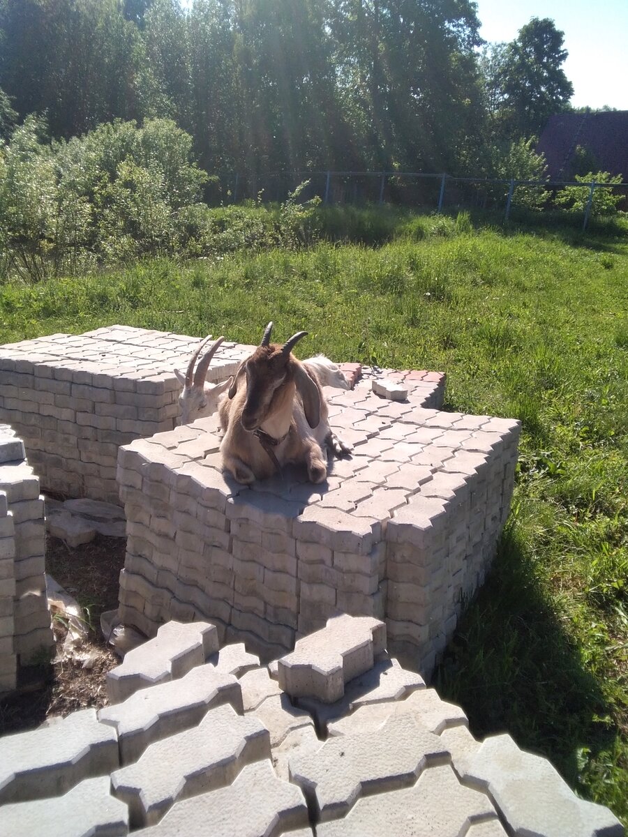 Фото автора. 