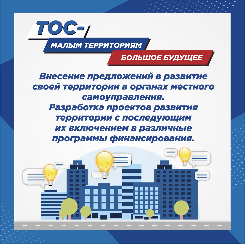 Могут ли тосы выступать инициаторами проектов