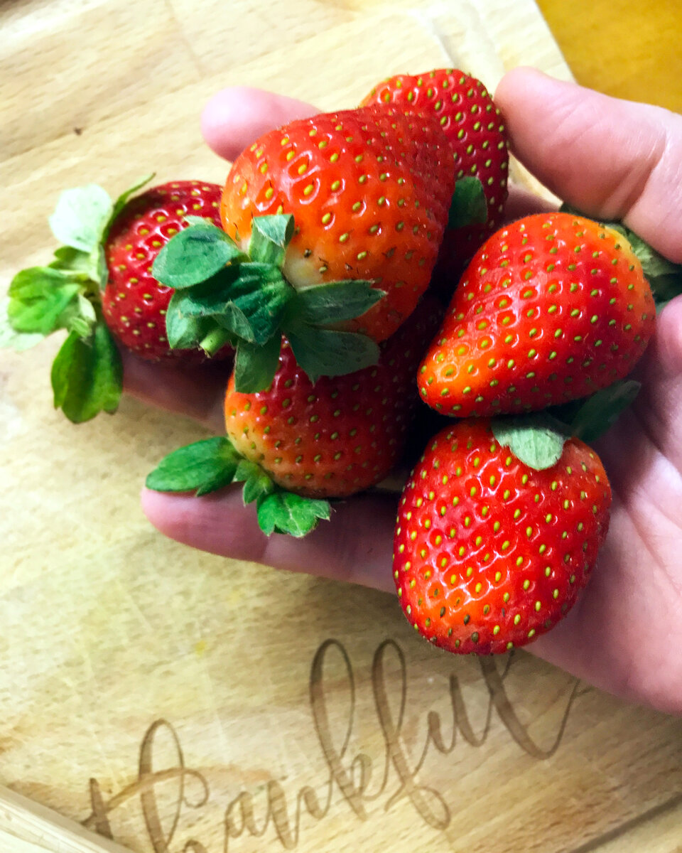 Вот такую клубничку едим всю зиму. Фото автора