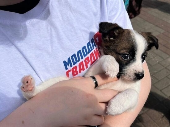     Фото vk.com/ersmolensk