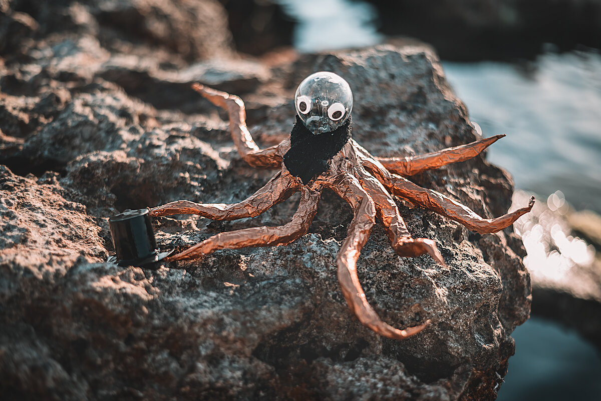 Милый и очень вежливый осьминог Персик :)