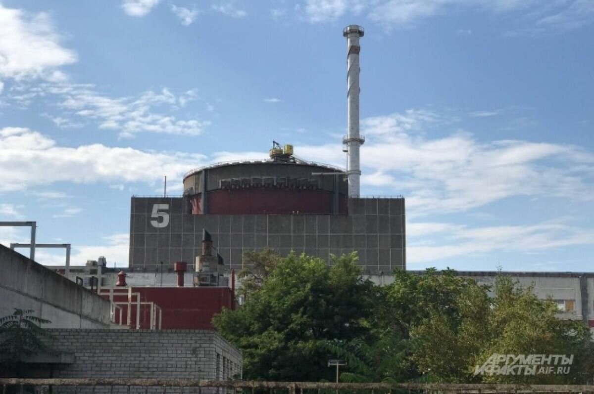    Власти Запорожской области назвали условие для перезапуска ЗАЭС