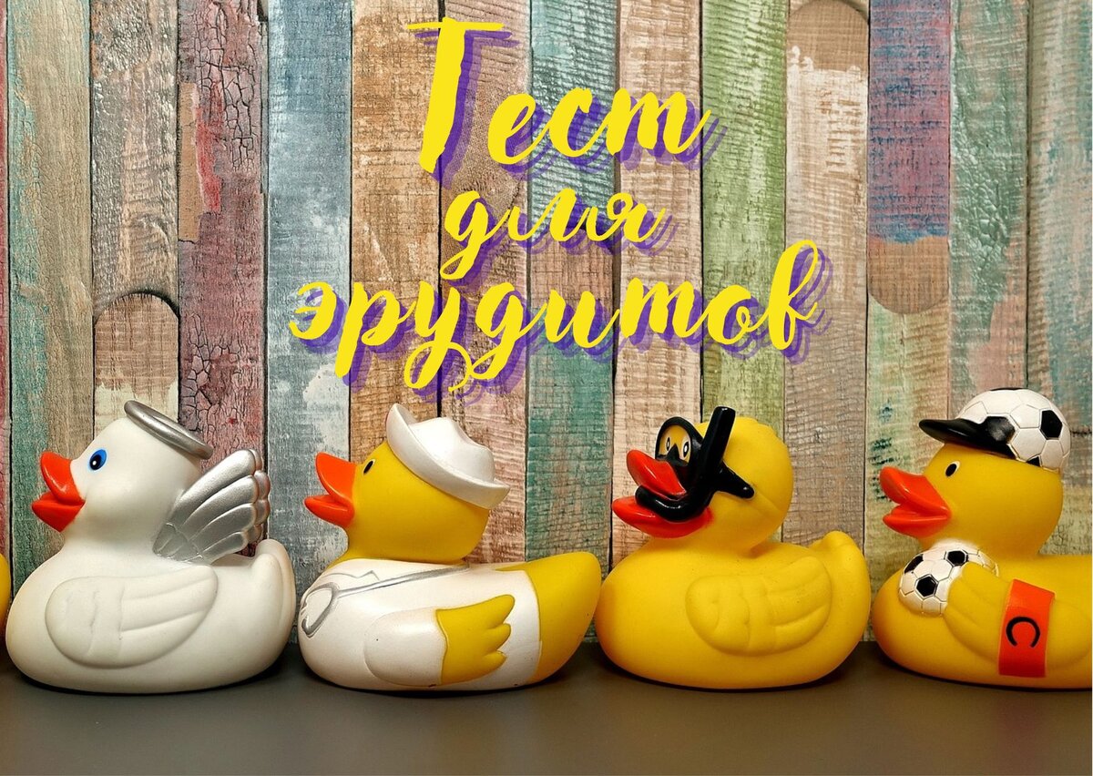 Источник изображения: pixabay.com, дизайн автора публикации