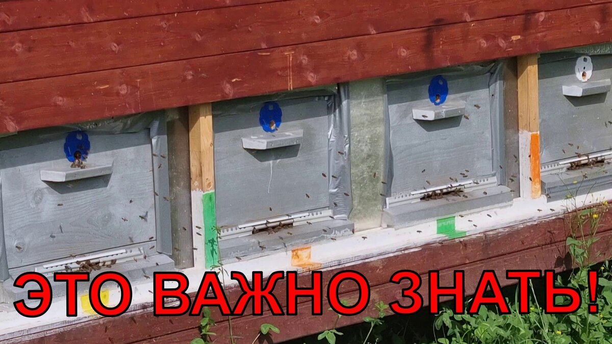 Преимущества использования сетчатых днищ