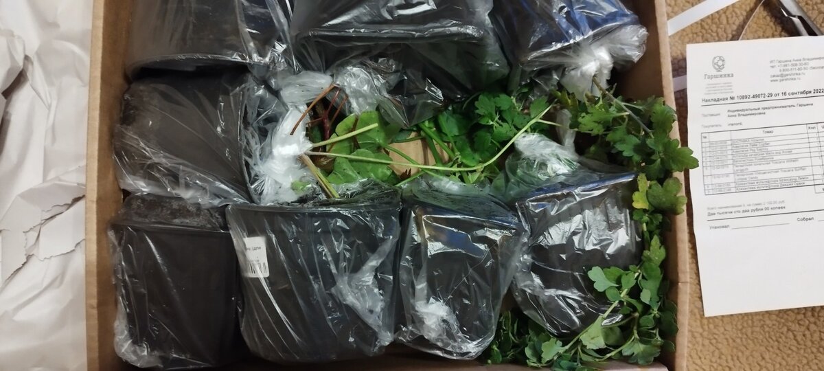 Аккуратно и компактно уложены все растюшки. Каждый горшочек плотно завязан в пакетик, чтобы земля не высыпалась.