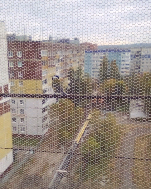 Интересно, где побывали мои синицы, вернувшиеся вна моё окно в сентябре?..