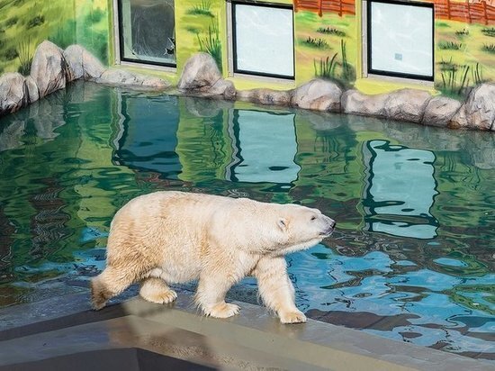     Фото парка "Роев ручей"