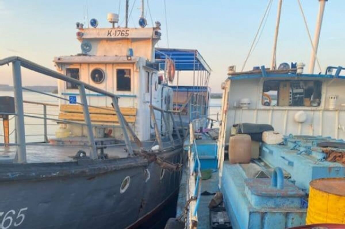    В Прикамье назвали причину столкновения теплохода и сухогруза на Каме
