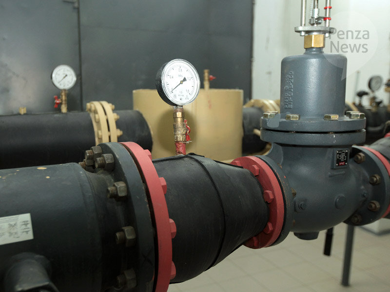   © Фото из архива ИА «PenzaNews»